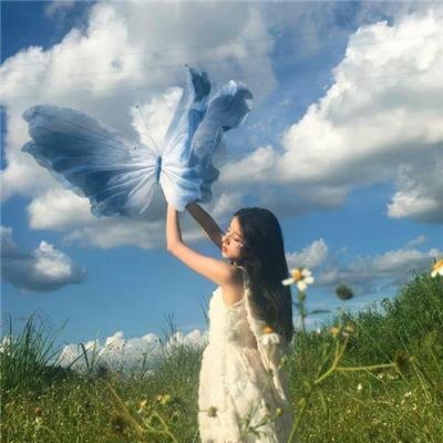 抵挡计划