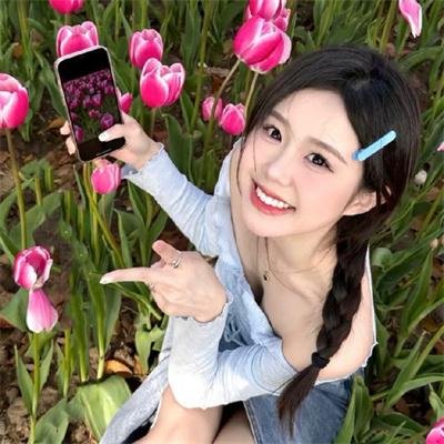 龙霸天下